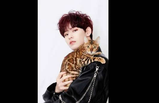 网络图片(侵删) 网络图片(侵删)