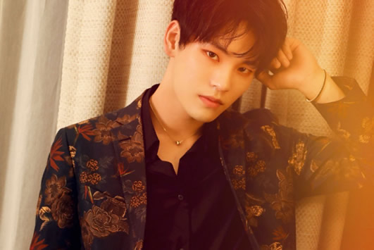 网络图片(侵删) 网络图片(侵删)