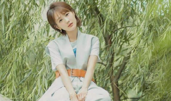 网络图片(侵删) 网络图片(侵删)