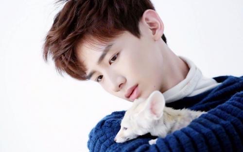 网络图片(侵删) 网络图片(侵删)