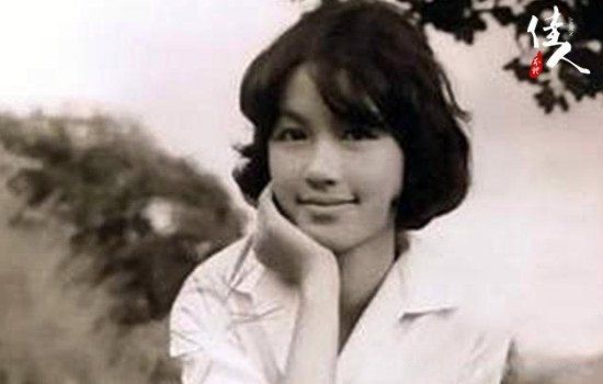 网络图片(侵删) 网络图片(侵删)