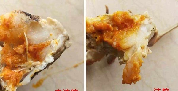 网络图片(侵删) 网络图片(侵删)