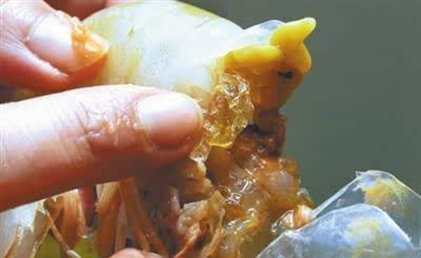 网络图片(侵删) 网络图片(侵删)