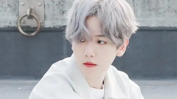 网络图片(侵删) 网络图片(侵删)