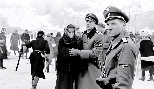 网络图片(侵删) 网络图片(侵删)