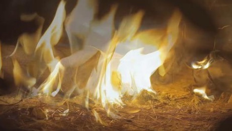 网络图片(侵删) 网络图片(侵删)