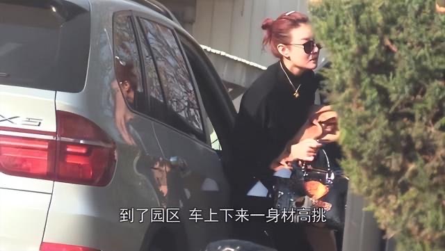 网络图片(侵删) 网络图片(侵删)