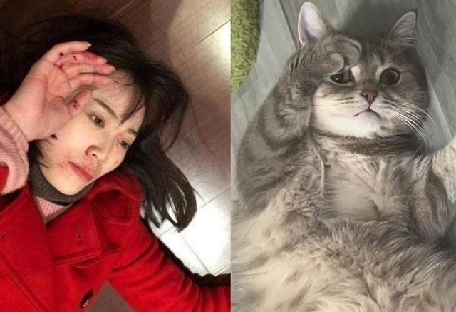 网络图片(侵删) 网络图片(侵删)