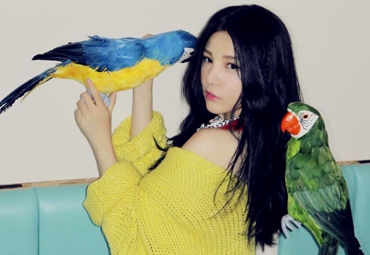 网络配图 网络配图