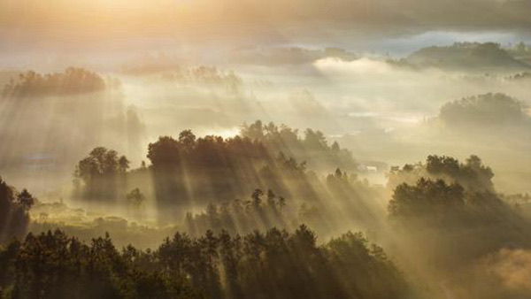 网络配图 网络配图