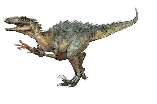 网络图片(侵删) 网络图片(侵删)