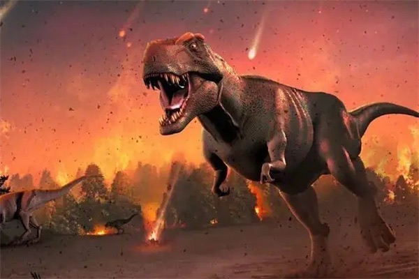 网络图片(侵删) 网络图片(侵删)