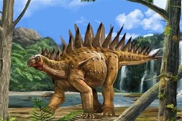 网络图片(侵删) 网络图片(侵删)