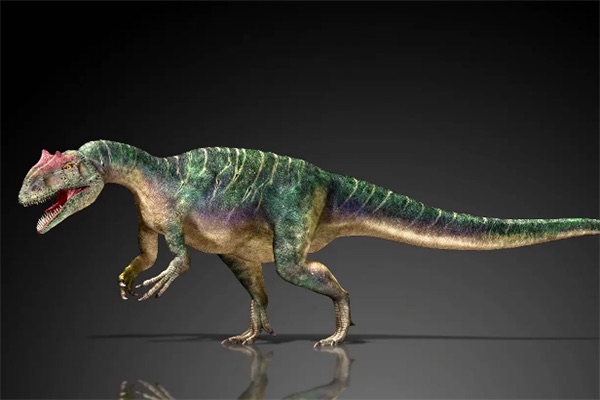 网络图片(侵删) 网络图片(侵删)