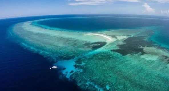 网络图片(侵删) 网络图片(侵删)