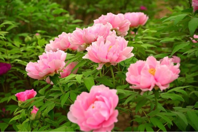 网络配图 网络配图