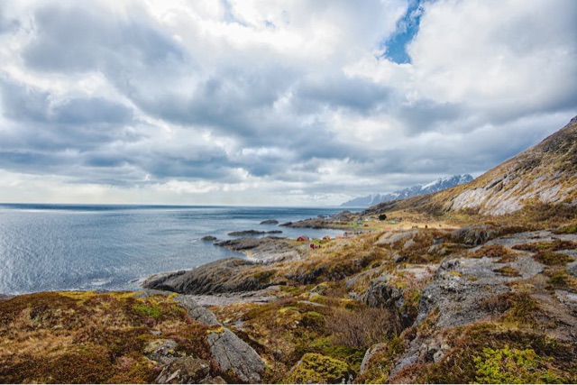 网络配图 网络配图